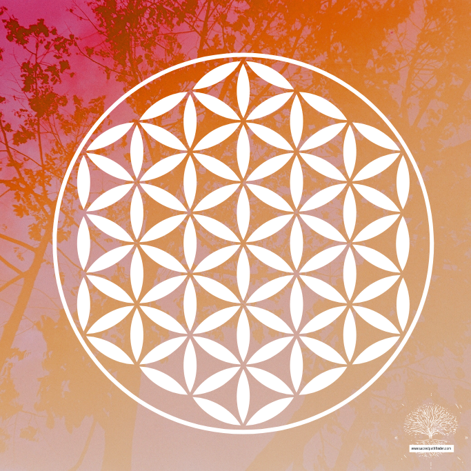 photo of the flower of life symbol