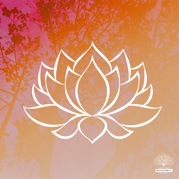 Photo of the lotus symbol