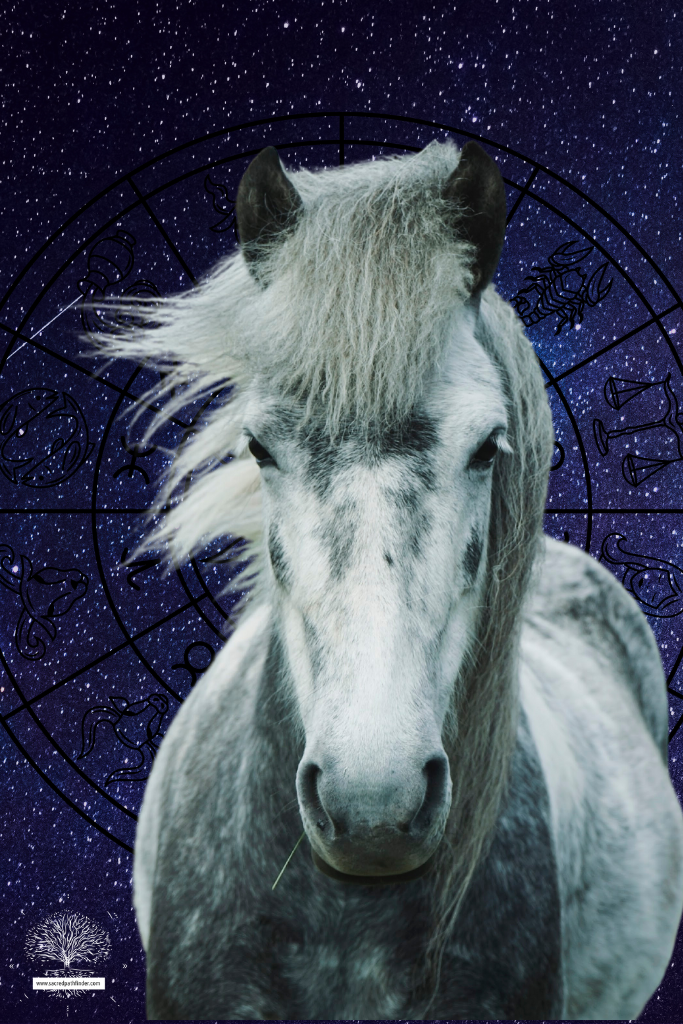 Closeup photo of an horse, which is a spirit animal symbol of strength.