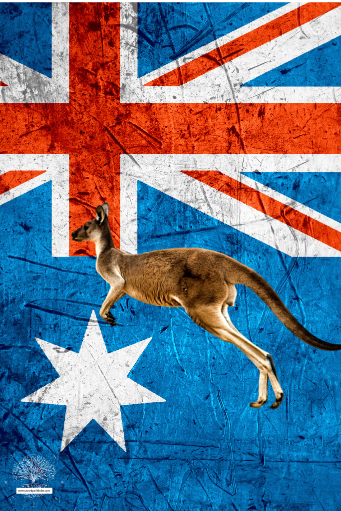 Photo of a kangaroo hopping in front of the Australian flag. 