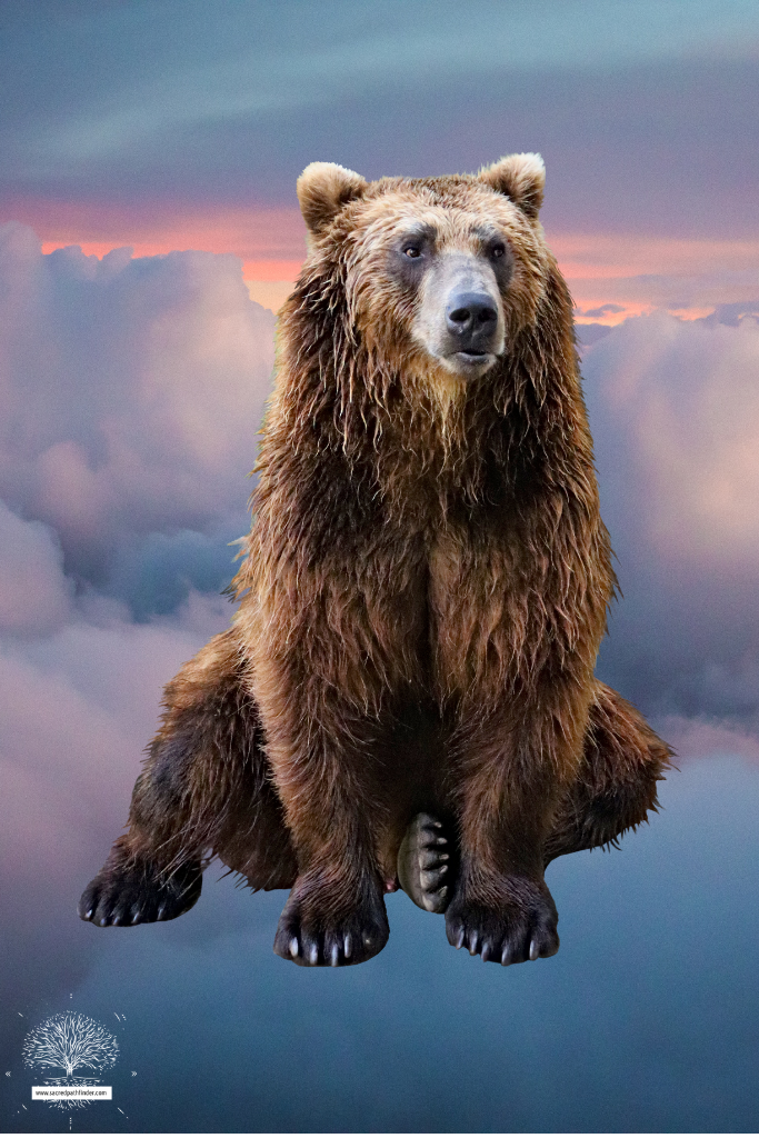 Photo of a bear in front of a cloud dreamscape. 