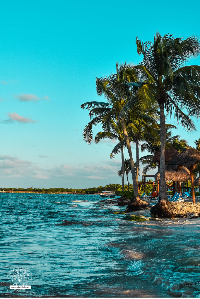 Photo of a Caribbean beach photo with palm trees.