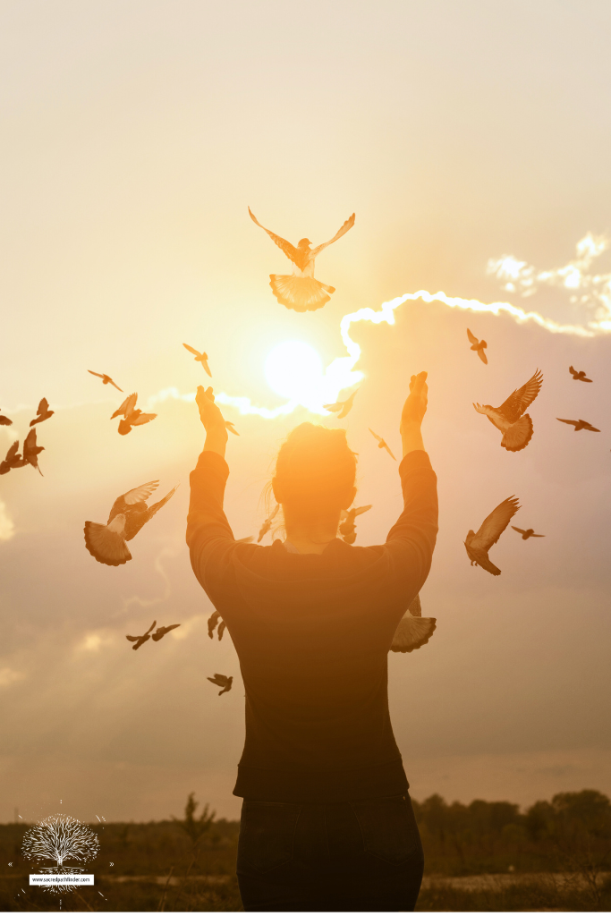 Photo of a the back of a man, in front of a sunset, releasing multiple doves. 