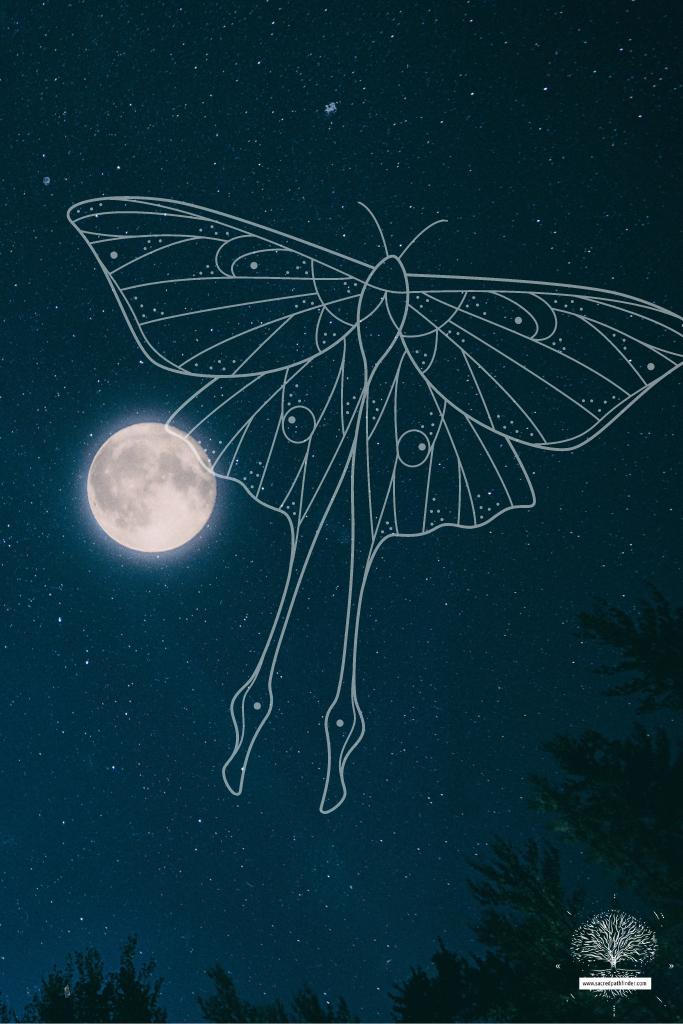 Photo of a luna moth graphic in front of the moon.