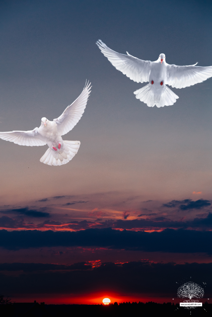 Photo of two doves flying in front of a sunset.