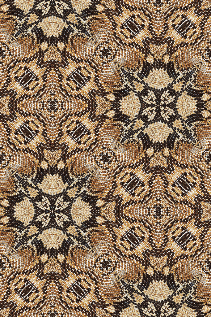 Photo of snakeskin, in a pattern that fills up the whole image.